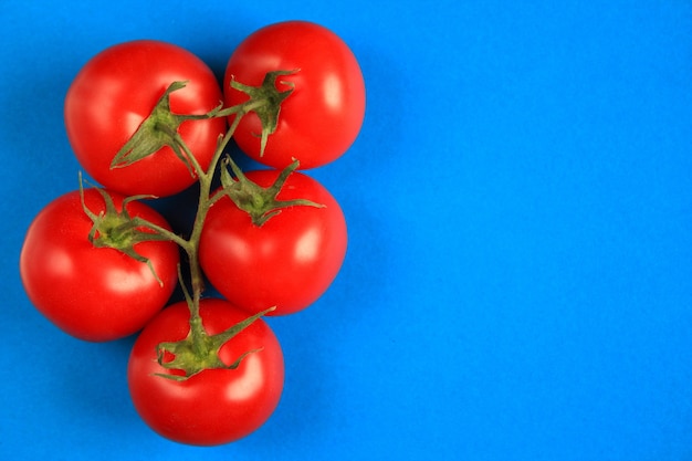 Ramo di pomodori sulla superficie blu