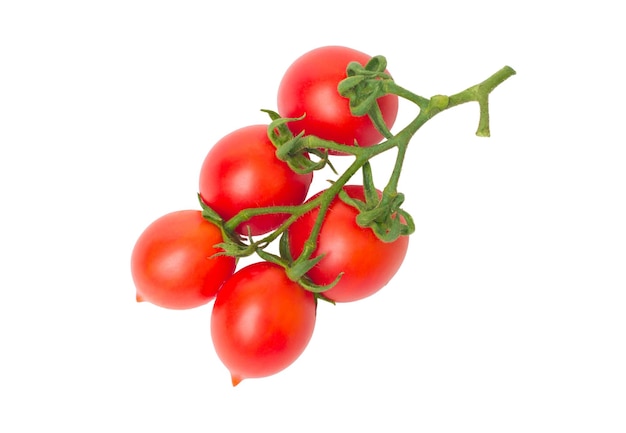 Ramo di pomodoro ciliegino isolato su sfondo bianco Vista dall'alto