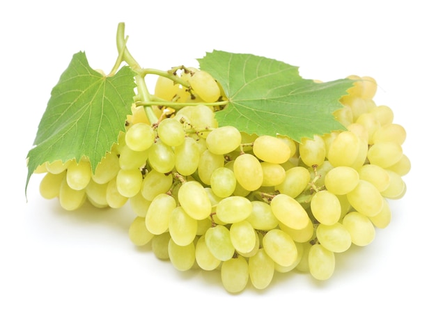 Ramo di uva verde fresca con foglia isolata su sfondo bianco Concetto creativo di frutta Vista dall'alto piatta