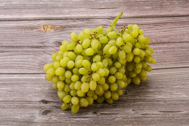 Ramo di uva verde su sfondo