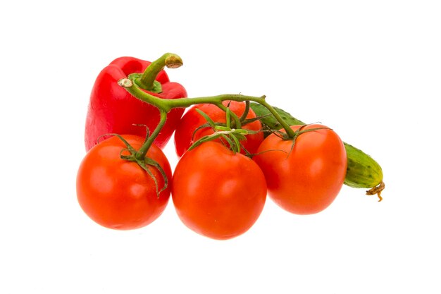 Ramo e cetriolo del pomodoro del peperone rosso