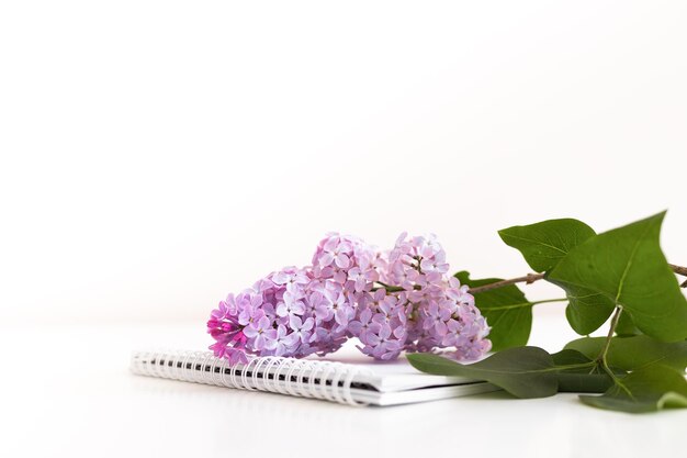 Ramo lilla fiore piatto giaceva primo piano con carta nota su sfondo bianco pastello spazio copia in alto vi