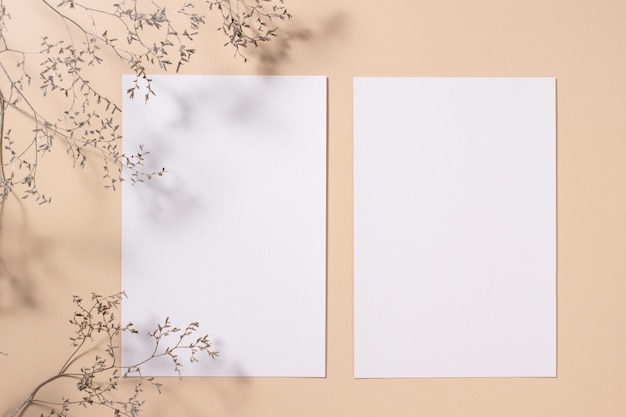 Ramo naturale con foglie e due carte di carta bianca su sfondo beige