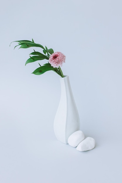 Ramo tenero con foglie verdi e fiore di crisantemo rosa in un vaso bianco su uno sfondo grigio