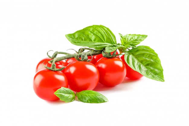 Ramo verde con i pomodori ciliegia freschi e basilico isolato su spazio bianco. Verdure mature