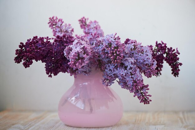 Ramo viola di lillà nel vaso rosa un fiore delicato e bello