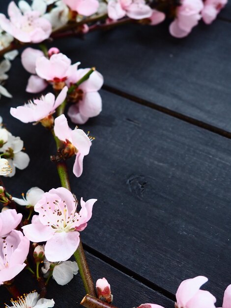 Ramoscelli con fiori rosa di melo o pesco su tavole nere delicate infiorescenze nel conteggio