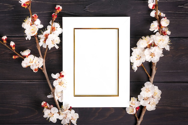Ramoscelli dell&#39;albero di albicocca con i fiori e la struttura bianca della foto su fondo di legno.