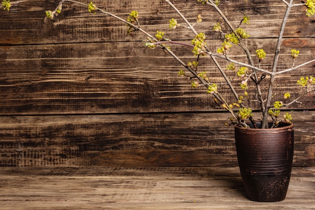 Ramoscelli fioriti di corniolo in un vaso di ceramica su assi di legno d'epoca
