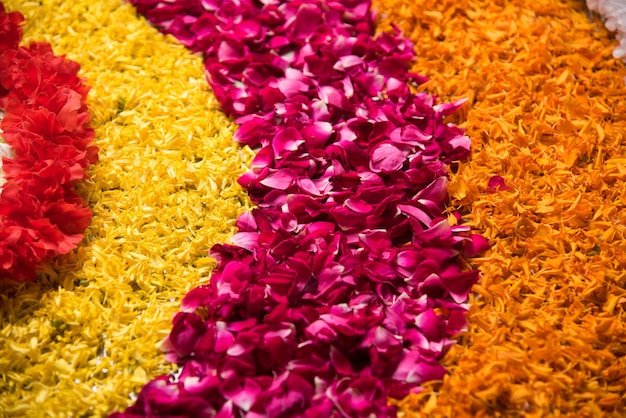 Rangoli di fiori per Diwali o Pongal o qualsiasi festival indù con fiori di calendula o zendu e petali di rose rosse, messa a fuoco selettiva