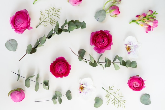 Ranunculus fiori e orchidee