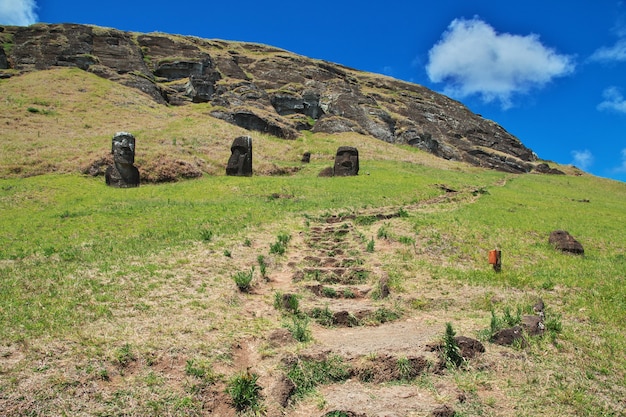 Rapa Nui. statua Moai a Rano Raraku sull'Isola di Pasqua, Cile