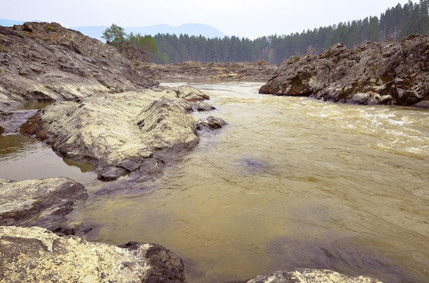 rapide manzherok nelle montagne altai sponda rocciosa del fiume katun