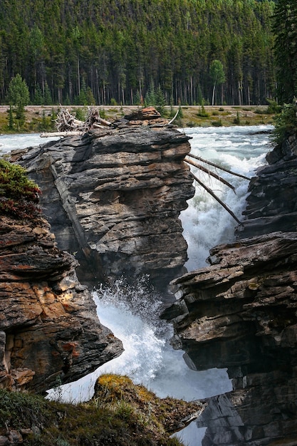 Rapide sul fiume Athabasca nel Parco Nazionale di Jasper