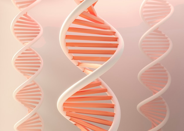 rappresentazione 3d del dna