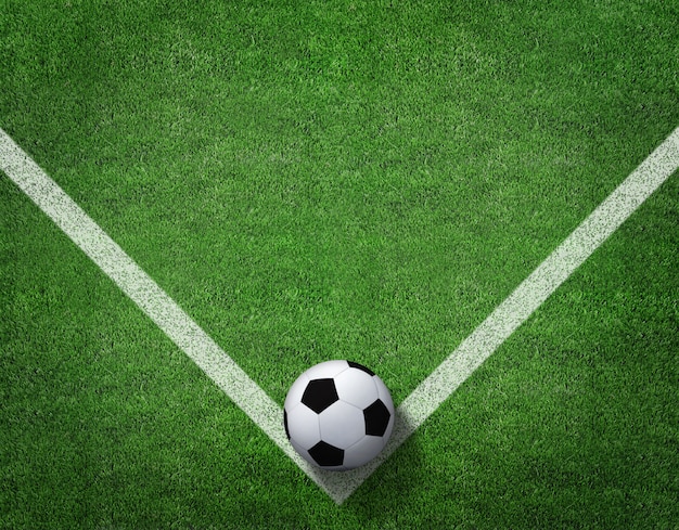 Rappresentazione 3d del pallone da calcio con la linea sul campo di calcio.
