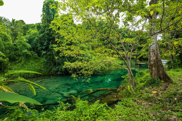 Rarru Rentapao Cascades Cascades e il fiume Teouma villaggio Efate Isola Vanuatu vicino a Port Vila