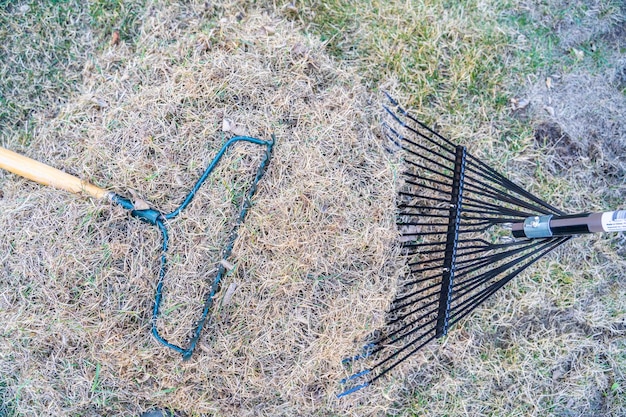 Rastrello da giardino e mucchio di erba morta dal prato