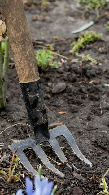 rastrello per attrezzi da giardino