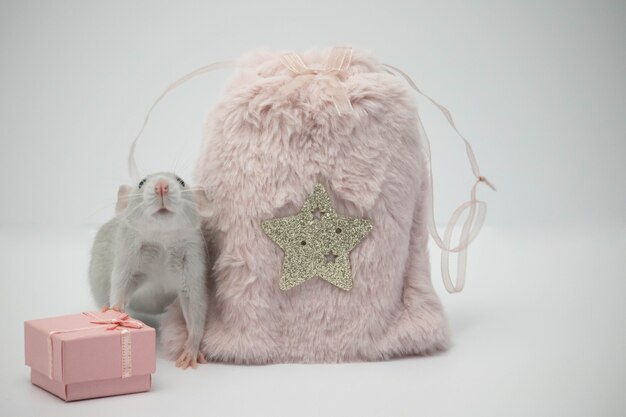 ratto grigio siede accanto a una borsa di pelliccia rosa e una confezione regalo.