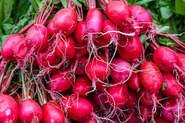 Ravanello rosso in vendita al mercato alimentare di strada nel villaggio di montagna Sapa, Vietnam, primo piano