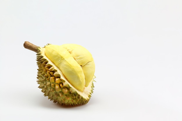 Re dei frutti, durian isolato su sfondo bianco.