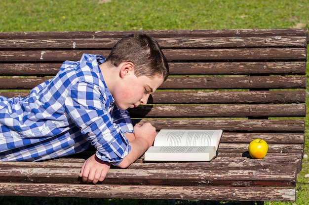 Read.Young ragazzo che legge un libro nella panchina del parco, estate