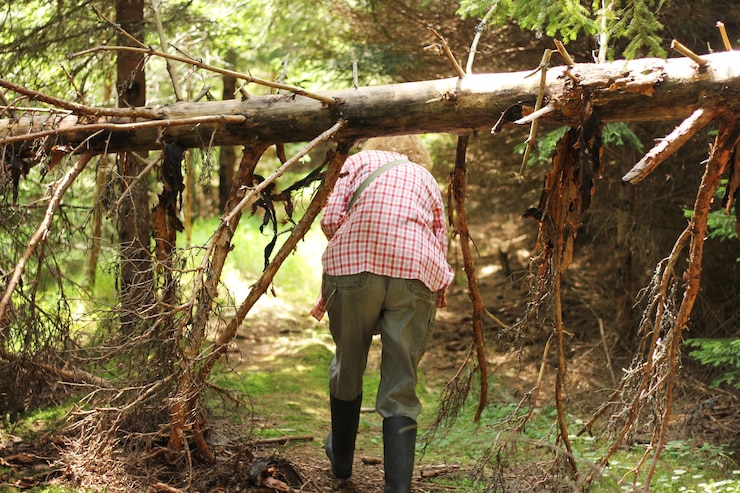 Photo rear view of woman walking at forest