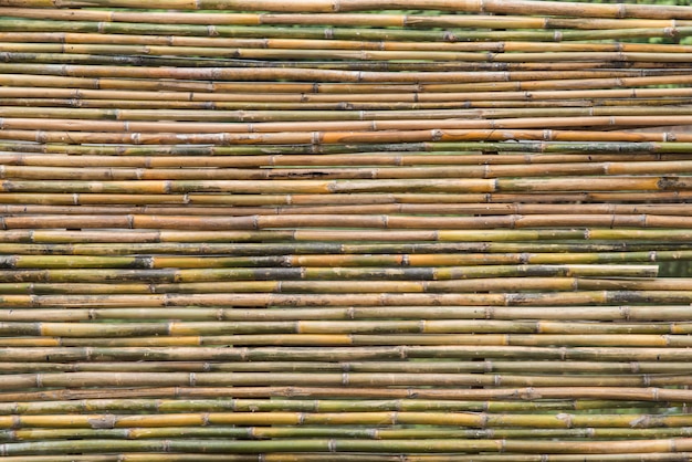 recinto di bambù