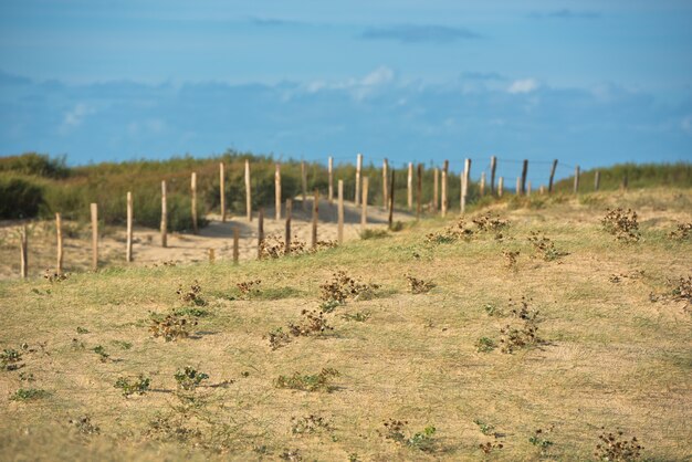 Recinto di legno sulla spiaggia atlantica in Francia