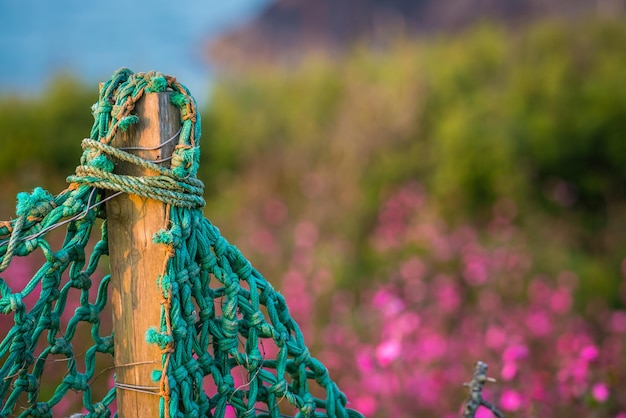 Recinzione a rete verde che circonda il giardino rurale