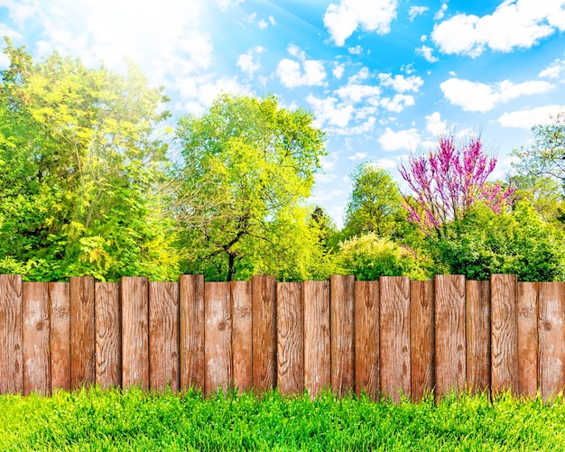 Recinzione da giardino in legno all'erba verde del cortile e cielo blu con nuvole bianche