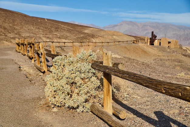 Recinzione della Valle della Morte su sentiero con grandi arbusti e vecchie strutture in lontananza