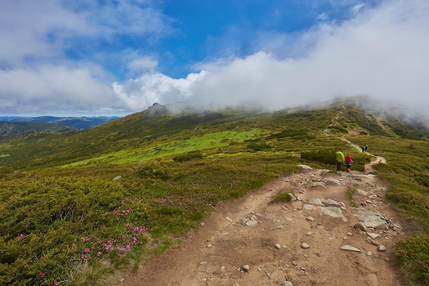 Recinzione di paesaggio composito vicino alla strada trasversale sul prato collinare in montagna