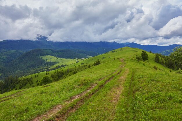 Recinzione di paesaggio composito vicino alla strada trasversale sul prato collinare in montagna