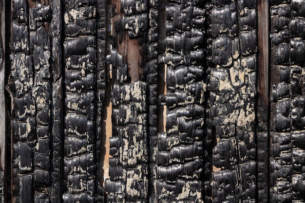 Recinzione in legno bruciato. La trama delle assi di legno carbonizzate.