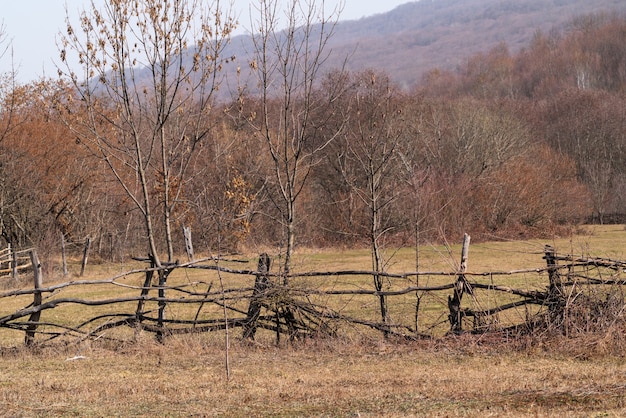 Recinzione in legno fatta a mano fatta di aste sottili, ranch