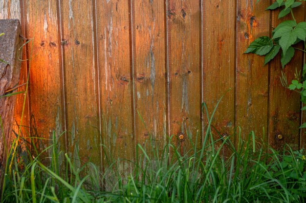 Recinzione in legno marrone erba verde Recinto di vernice scrostata