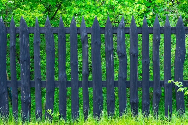 Recinzione in legno nero su uno sfondo di erba verde e alberi Erba verde fresca di primavera e foglie di piante su uno sfondo di staccionata in legno nero