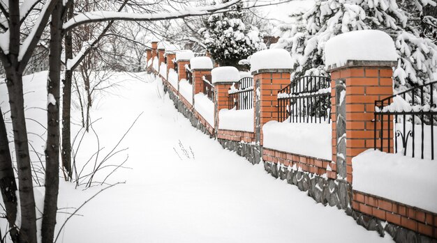 Recinzione sotto la neve