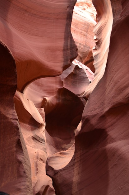 Red Rock Canyon scavato nell'arenaria dall'acqua.