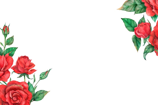 Red rose border banner png sfondo trasparente