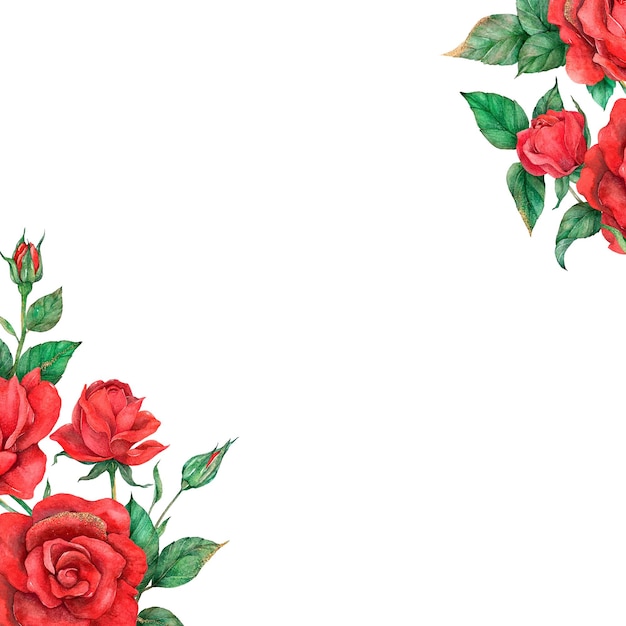 Red rose png sfondo trasparente per post sui social media