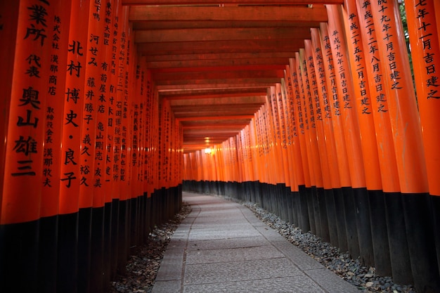 Red Tori Gate al Santuario Fushimi Inari a Kyoto, Giappone, messa a fuoco selettiva con soft focus