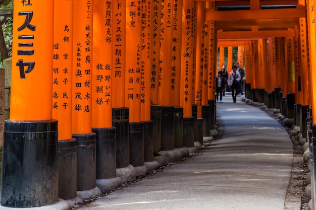 Red Torii gates nel santuario di Fushimi Inari