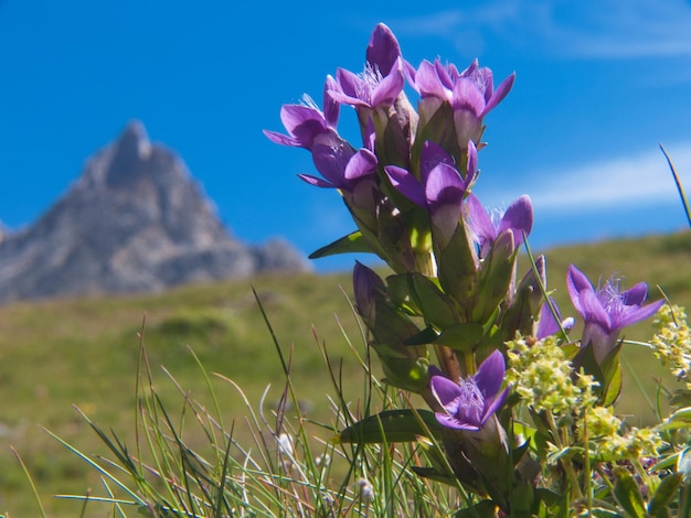 Refuge des barmettespralognan la vanoisesavoiefrance