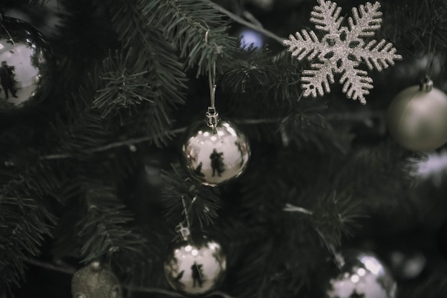 Regalo dell'albero di Natale del pino