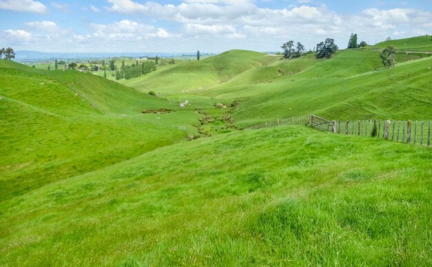 Regione di Waikato in Nuova Zelanda