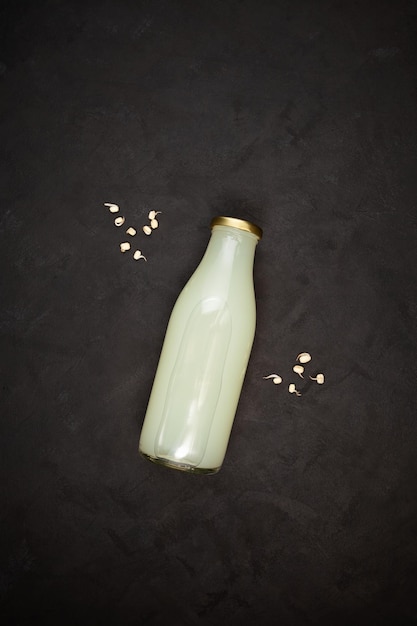 Rejuvelac o kvas fatto in casa Bottiglia di sana bevanda fermentata Probiotico naturale