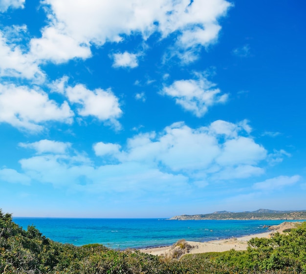 Rena majore riva sotto un cielo nuvoloso Sardegna